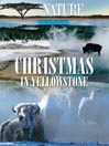 Christmas in Yellowstone
